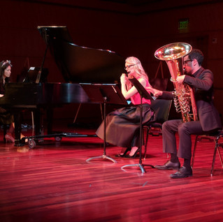 LunART Chamber Music Collective 1.jpeg