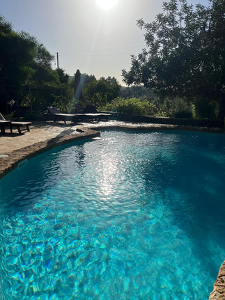 Ibiza-sandra-morrel-pool.JPG