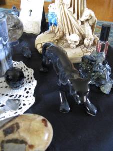 The Black Panther is my main animal ally, my Fetch Beast. Black cats are associated with the Great Queen Hekate, as are many creatures of black and of the night.