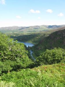 Dinas Emrys - August 22 2013 - Wales Pilgrimage