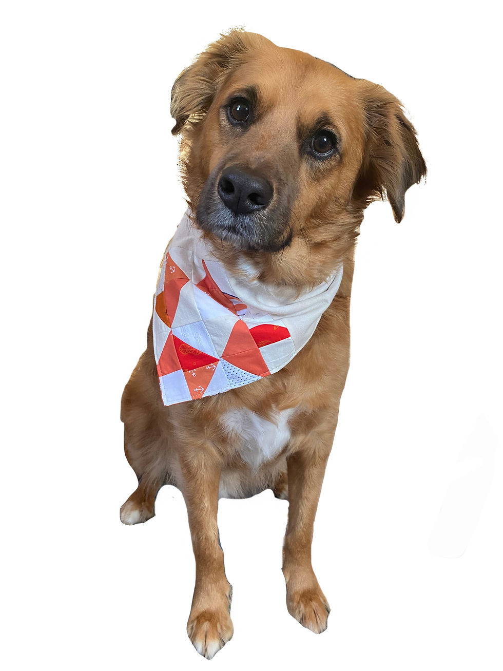 Thumbnail: reversible dog bandana