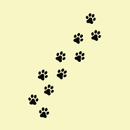 Awaken~Transform~Align (2).png