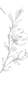 TM_logoC_PNG_edited_edited_edited.png