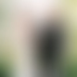 a bride and groom at the altar surrounded by white florals and greenery