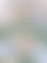 The Gentle Beauty of an In-Home Newborn Session