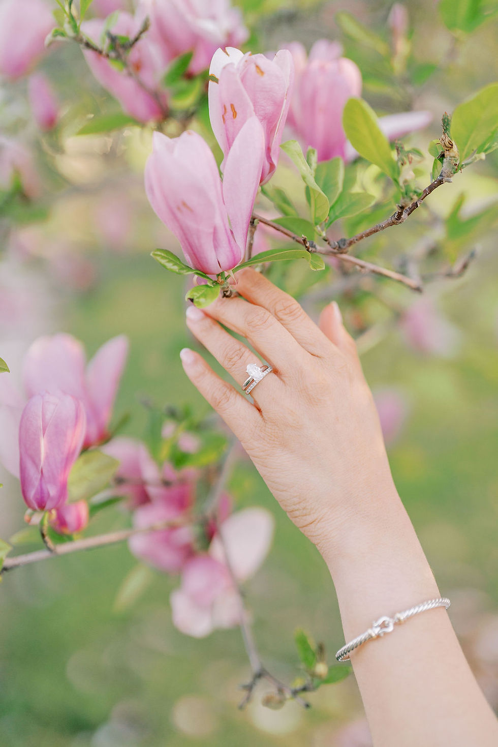 Hand with silver rings and bracelet gently touches pink magnolia flowers. Soft green background enhances the serene, romantic mood.