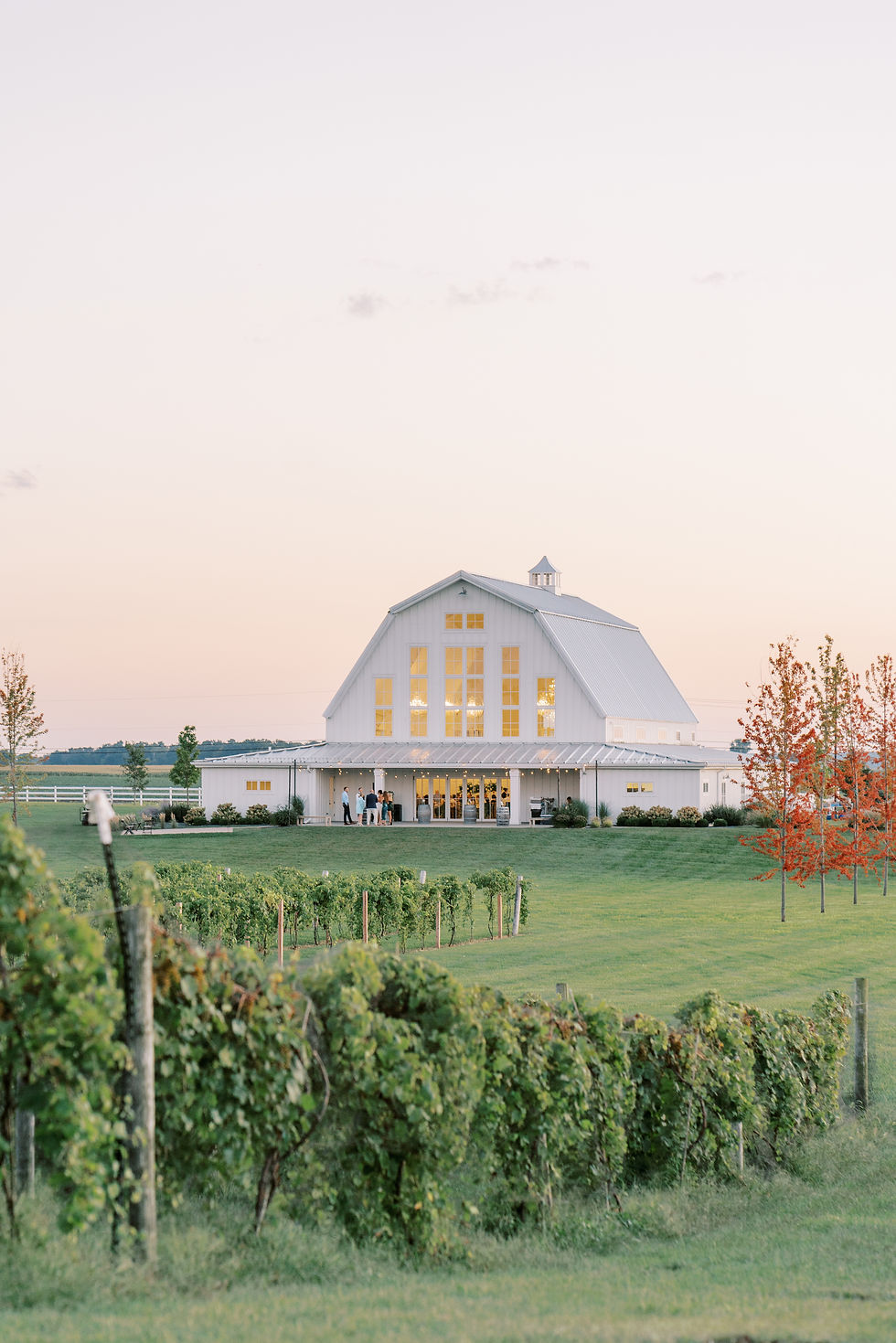White barn with glowing windows at sunset, people gathered outside. Surrounded by green vineyard and trees with red leaves. Peaceful mood.
