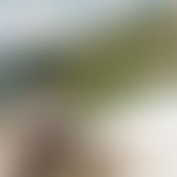 Summer on Film 🎞️ | Why I Recommend Bringing Along a Disposable Camera to Your Next Family Trip!