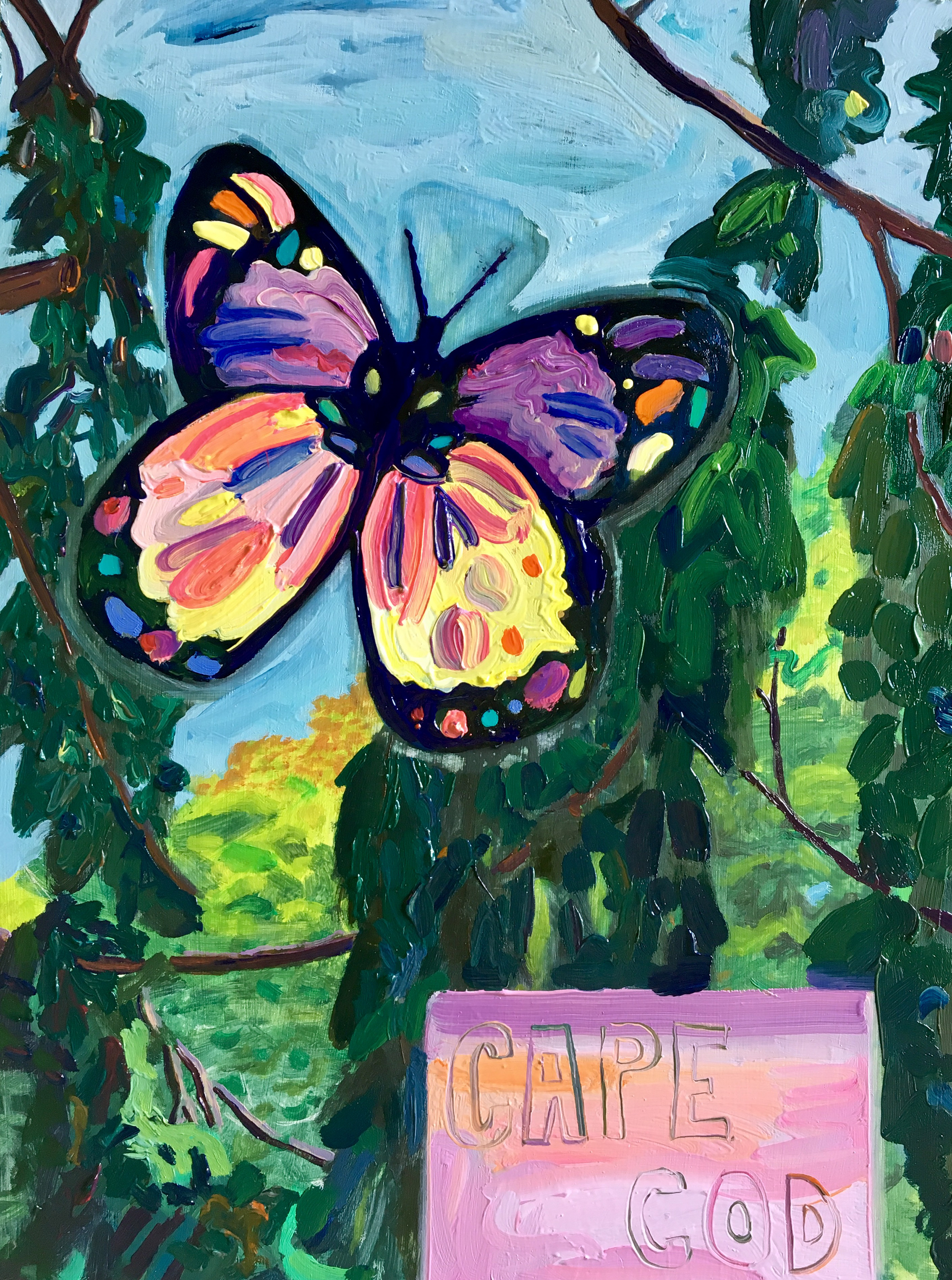 Butterfly