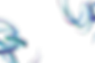 UK show_BG (Web).png