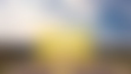 7️⃣ etapów do wolności finansowej. 