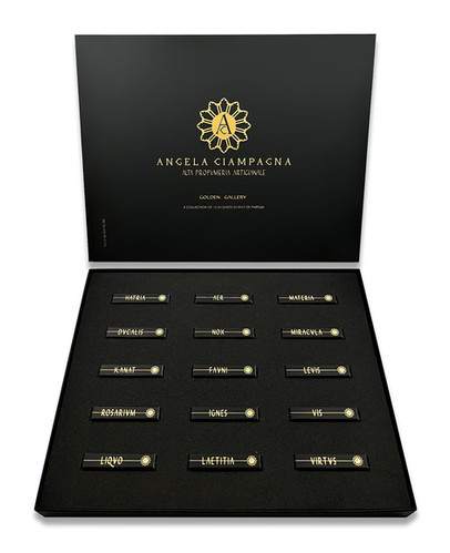 Golden Gallery Discovery Set | Angela Ciampagna