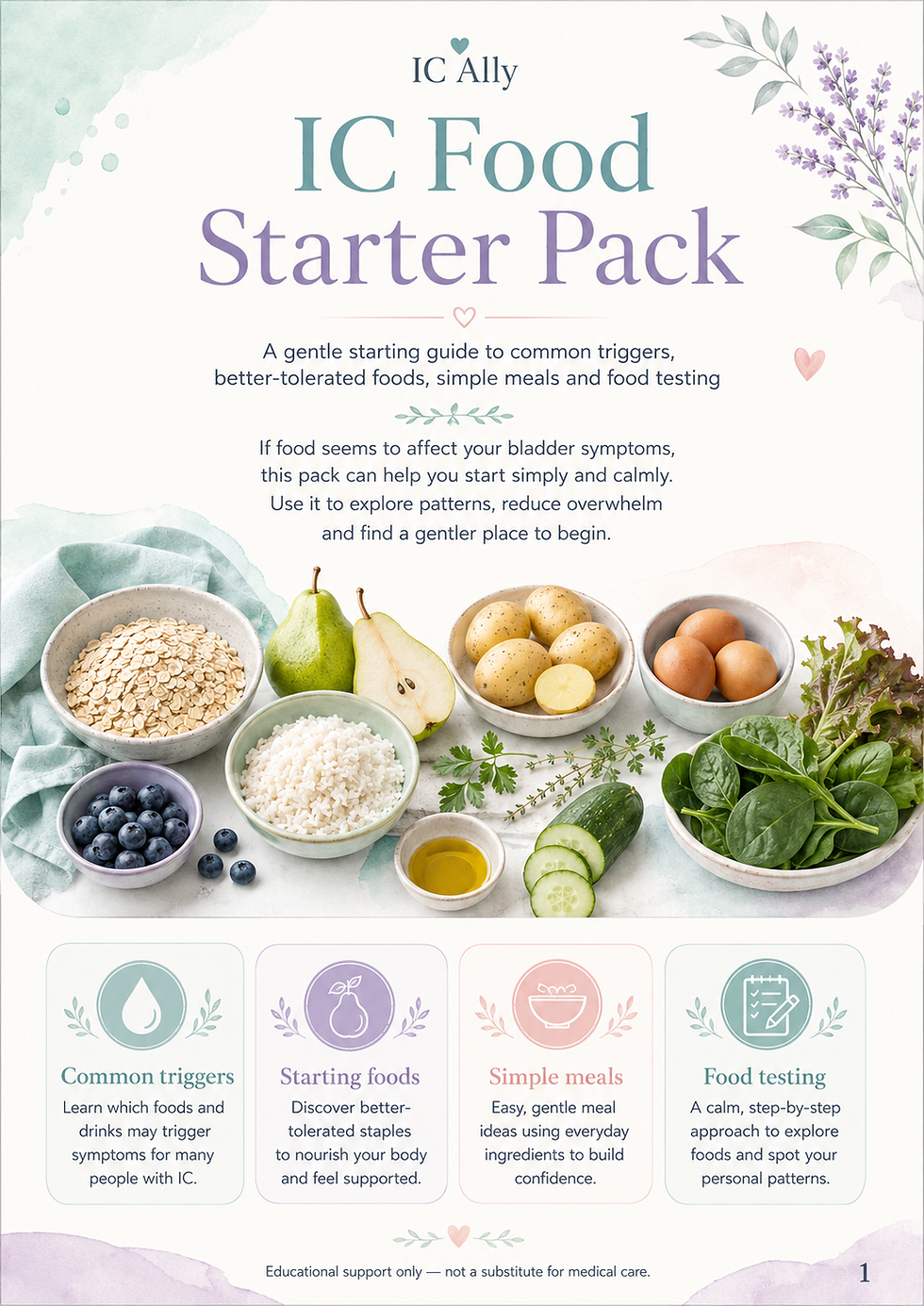 Cover of the free IC Ally IC Food Starter Pack