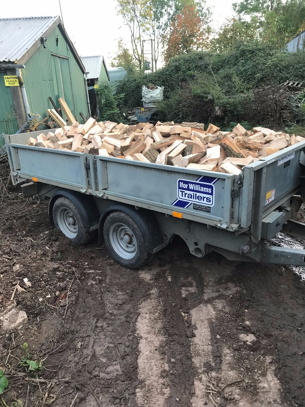 Thumbnail: 1.2 cubic meter of loose split logs 