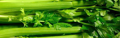 celery-181887-1.jpeg