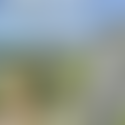 Everything about the Legal and Tax topic in Real Estate in Panama