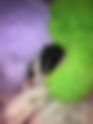 T-Litter Royal Balin's Feeling & Arwen  Day 2/3