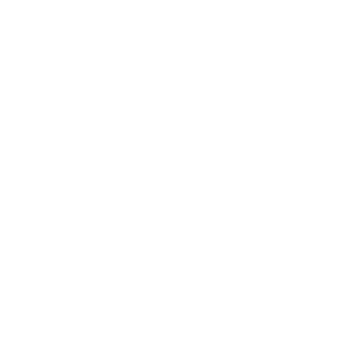 Final_Ruth_James_Logo_-removebg-preview.png