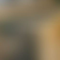 Could a pilot home composting program help decrease food, yard waste in Lexington?