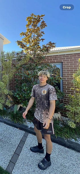 Samu pogi pressure washing-crushimage.jpg