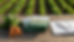 Overhead view of agricultural handbooks beside fresh vegetables
