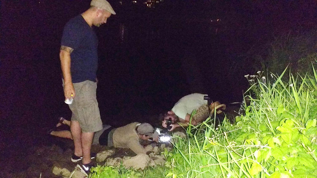 Langzaam dooft de drukte uit en liggen er duizenden lichaampjes op de oevers van de Nederrijn.