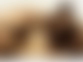 Como saber se o meu gato está doente?