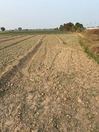 dry Soil photo .jpeg