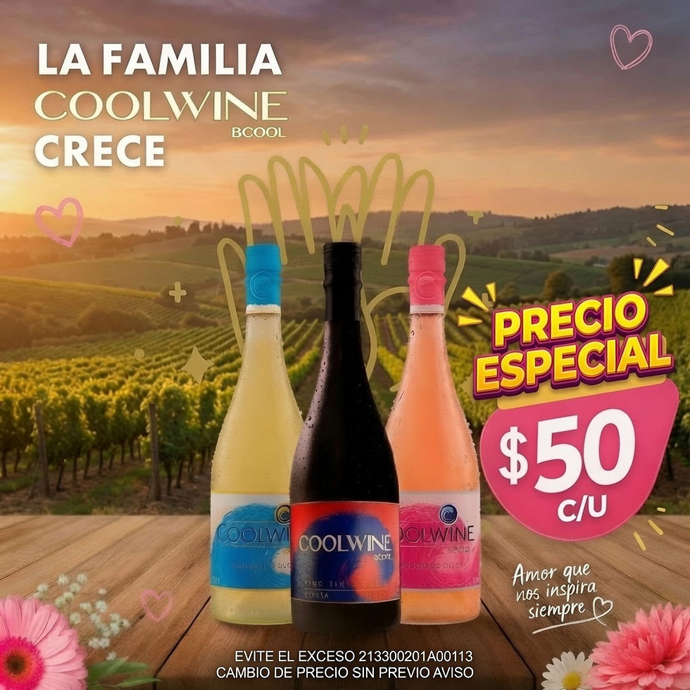 COOLWINE VARIOS