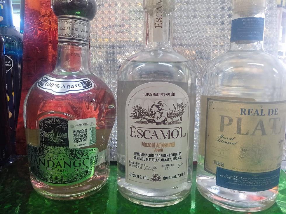 Fandango-Escamol- Real de Plata