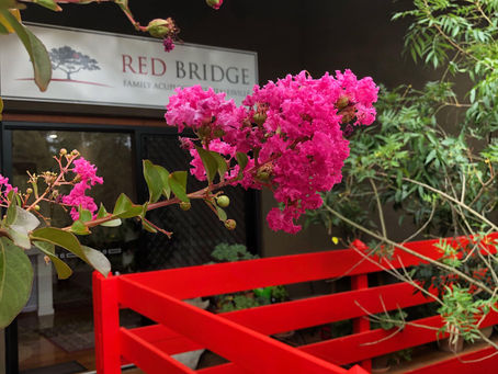 Exploring Japanese Medicine