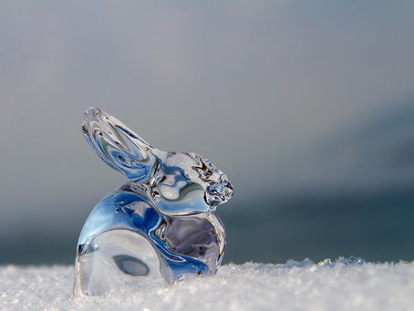 The Year of the Water Rabbit