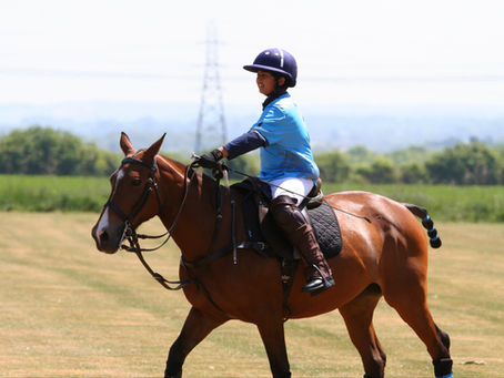 Celebrating Our Teams at the Pony Club Championships