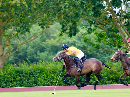 How to Tell if a Horse Will Actually Help You Improve as a Rider—Before You Buy It