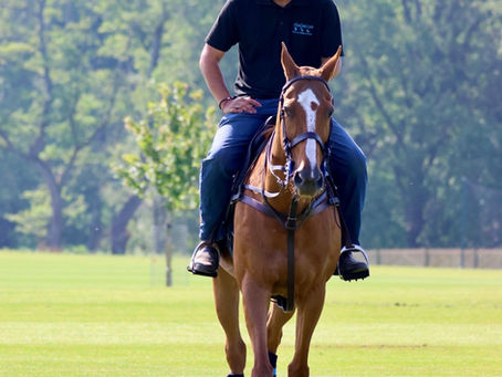 Timing, Half Seat, and Swing Choices: The small summer shifts that make riders of all ages feel composed, connected, and team-ready