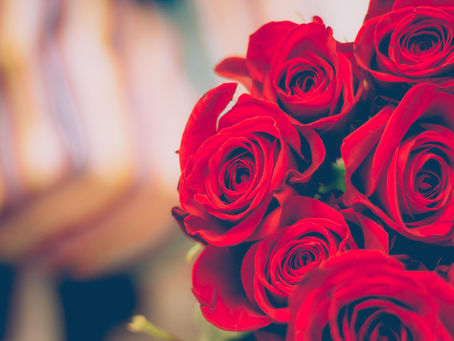 A Kiss from Rose | Recognizing What Many Overlooked