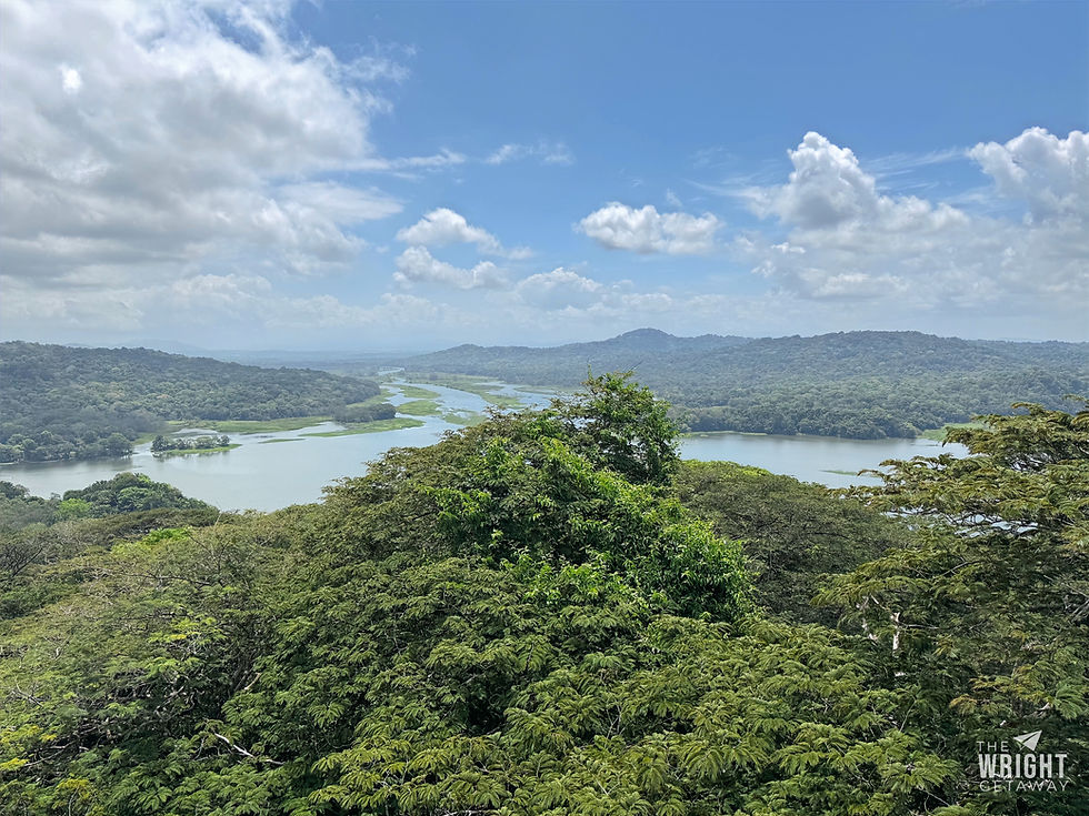 Gamboa Rainforest in Panama