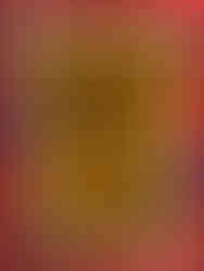 A mural on the Selaron Steps in Rio de Janeiro