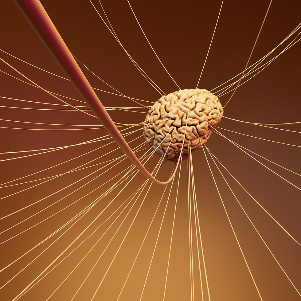 How Hypnotherapy Regulates the Nervous System — The Science, the Practice, and Why Embodiment is the Missing Piece