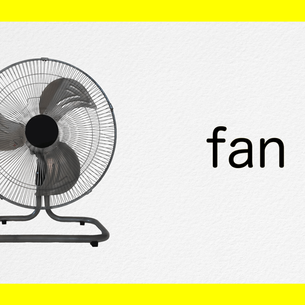 Fan