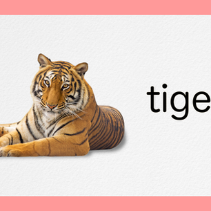 Tiger