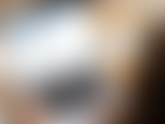 FEATURE HIGHLIGHT: THE UNDERWRITING SIMULATION TOOL