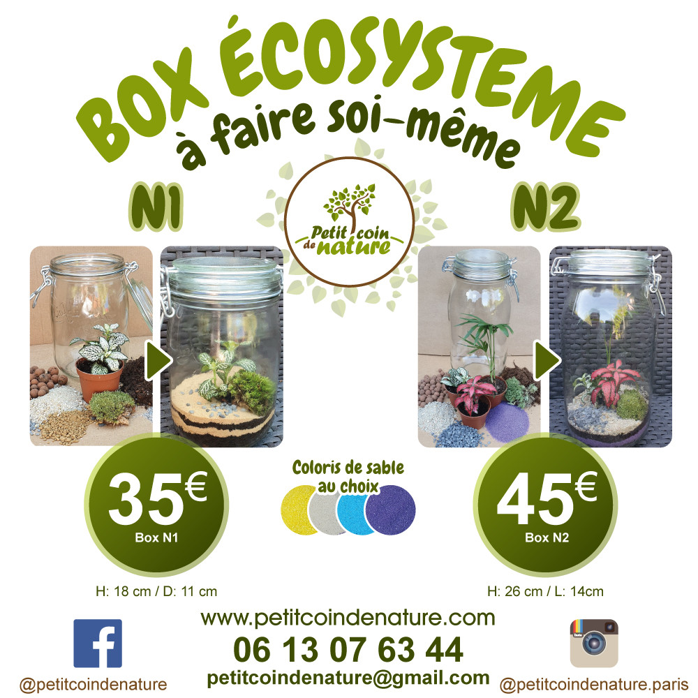 Box Ecosystème à faire soi-même - GRAND