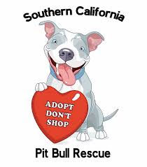 Pit Bull Rescue.jpeg