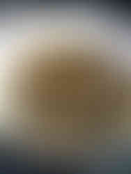 Let the mushroom soup simmer for about 15 minutes without a lid, allowing the flavours to meld.