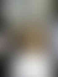 Blend the mushroom soup using a countertop blender until smooth.