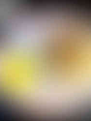 STEP BY STEP INSTRUCTIONS FOR THE CRUST