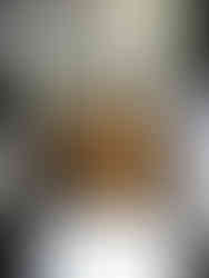 Blend the mushroom soup using a countertop blender.