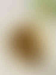 Mix in the 2/3 pistachio ganache into the buttercream.