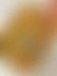 Spread evenly the risotto filling into a large casserole dish.